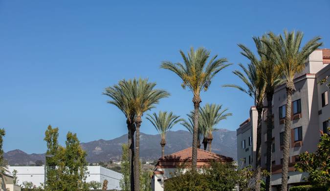 Lakewood California plumbing services